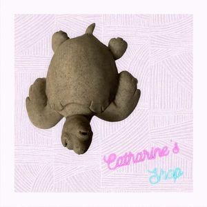 Tony the Turtle Quarry Critter